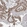 Anti-TAF8 Antibody