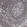 Anti-TAF8 Antibody