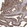 Anti-RPS25 Antibody
