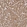 Anti-RPS25 Antibody
