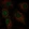 Anti-C2orf42 Antibody