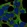 Anti-RPS11 Antibody