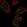 Anti-RFXAP Antibody