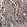Anti-KIAA1522 Antibody