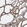 Anti-KLHDC9 Antibody