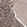 Anti-ABHD13 Antibody