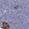 Anti-FOXR2 Antibody