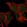 Anti-FOXR2 Antibody