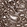 Anti-COX5B Antibody