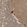 Anti-CARF Antibody