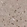Anti-SLC12A6 Antibody