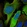 Anti-UBE2C Antibody