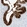 Anti-SCGB2A1 Antibody