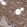 Anti-RPL4 Antibody