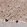 Anti-HECW2 Antibody