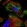 Anti-ZNF846 Antibody