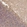 Anti-DCTN1 Antibody