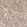 Anti-ZBTB41 Antibody