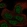Anti-DHX36 Antibody