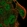 Anti-SLC9A4 Antibody