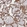 Anti-SLC39A10 Antibody