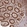 Anti-NPRL2 Antibody