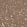 Anti-P2RX7 Antibody