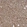Anti-SLC6A12 Antibody