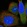 Anti-ABTB1 Antibody