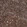Anti-DNAJC9 Antibody