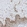 Anti-DNAJC9 Antibody