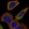 Anti-ACOXL Antibody