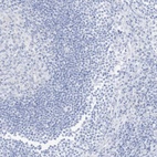 Immunohistochemical staining of human lymph node shows low expression as expected.
