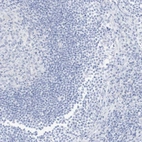 Immunohistochemical staining of human lymph node shows low expression as expected.
