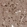 Anti-SERINC1 Antibody