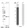 Anti-FAM92A Antibody