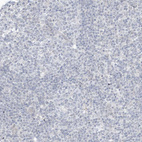 Immunohistochemical staining of human tonsil shows no positivity in non-germinal center cells as expected.
