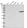 Anti-KRT4 Antibody