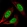 Anti-AK6 Antibody