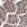 Anti-CHPF Antibody