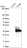 Anti-FAM9B Antibody