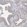Anti-IL1RAP Antibody