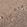 Anti-UBR3 Antibody
