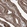 Anti-AARS2 Antibody