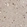Anti-RPP40 Antibody