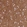 Anti-ADD3 Antibody