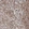 Anti-TPRKB Antibody