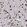 Anti-CELF2 Antibody