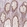 Anti-SLC20A1 Antibody