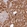 Anti-SLC20A1 Antibody